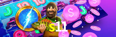 s11
